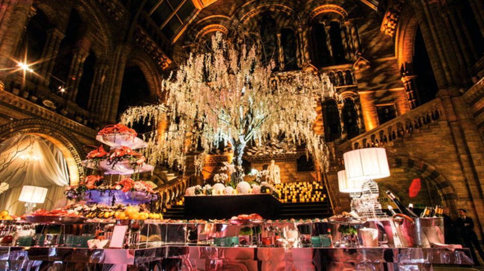 Sapinda-Weihnachtsfeier 2014 im Natural History Museum in London