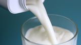 Mythos 2: H-Milch enthält keine Nährstoffe Beim Nährstoffgehalt schneidet haltbare Milch tatsächlich etwas schlechter ab als Frischmilch. Sie schwächelt in erster Linie beim Gehalt an Folsäure und Vitamin C. Damit steht die H-Milch noch ganz gut da. Denn wer Frischmilch selbst auf dem heimischen Herd abkocht, riskiert, dass deutlich mehr Vitamine verloren gehen: rund die Hälfte des ursprünglich enthaltenen Vitamins B12 und drei Viertel des Vitamins C. Allerdings bleibt fraglich, ob diese Verluste für die Ernährung überhaupt eine Rolle spielen. Milch gilt zwar als nützliche Quelle für Vitamine - sie ist aber nicht entscheidend für eine ausreichende Versorgung.