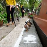 Mai  London, England. "Share the Space, Drop your Pace" heißt die Kampagne der gemeinnützigen Organisation "Canal & River Trust", die Flüsse in England und Wales verwaltet. Um zu zeigen, wie eng Mensch und Tier teilweise zusammen leben und wie wenig Platz sie sich teilen müssen, wurden in London vorübergehend "Entenpfade" auf viel besuchte Treidelpfade gezeichnet. Die Aktion findet auch in den Städten Birmingham und Manchester statt.