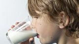 Mythos 6: Milch verschleimt die Atemwege Der Mythos ist weit verbreitet, besonders unter Sängern. Viele verzichten vor einem Konzert auf Milch, aus Angst, sich räuspern zu müssen. Auch erkältete Menschen hören oft den gut gemeinten Rat: Bloß keine Milch trinken, sonst wird's nur schlimmer! Wissenschaftliche Belege gibt es dafür nicht. Forscher fanden in Studien keinen Zusammenhang zwischen Milchgenuss und Schleimproduktion - weder bei erkälteten noch bei gesunden Menschen. Möglicherweise beruht dieses Ammenmärchen auf subjektivem Empfinden: Im Gegensatz zu Wasser hinterlässt Milch ein cremiges Gefühl im Mund, was zu dem Eindruck vermehrter Schleimbildung führen könnte. Galaktose, ein Bestandteil des Milchzuckers, wird umgangssprachlich auch Schleimzucker genannt - führt aber weder zu verstärkter Schleimbildung noch zu einer Verschlechterung von Erkältungssymptomen.