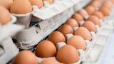 Eier im Supermarkt kaputt machen