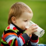 Mythos 3: Milch ist nur für Babys Säuglinge besitzen im Gegensatz zu Erwachsenen das Enzym Gastricin, das Milcheiweiß spaltet und verdaulich macht. Die Aktivität des Eiweißspalters nimmt im Laufe des ersten Lebensjahres ab - bis er schließlich ganz fehlt. Ab diesem Zeitpunkt kümmern sich Enzyme aus dem Magen, der Bauchspeicheldrüse und der Darmschleimhaut um die Milchverdauung. Auf diese Weise können auch die meisten Erwachsenen hierzulande das Lebensmittel vollständig abbauen. Dieser Umstand ist übrigens einer genetischen Mutation vor 7500 Jahren zu verdanken. In Zeiten, in denen Lebensmittel knapp waren, profitierte der Mensch vom Trinken der Kuhmilch - und entwickelte so die Fähigkeit, sie auch als Erwachsener verwerten zu können.