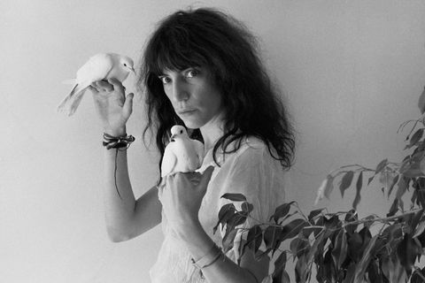 Robert-Mapplethorpe-Ausstellung: Ist das Kunst - oder schon Porno?