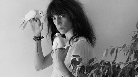 Robert-Mapplethorpe-Ausstellung: Ist das Kunst - oder schon Porno?