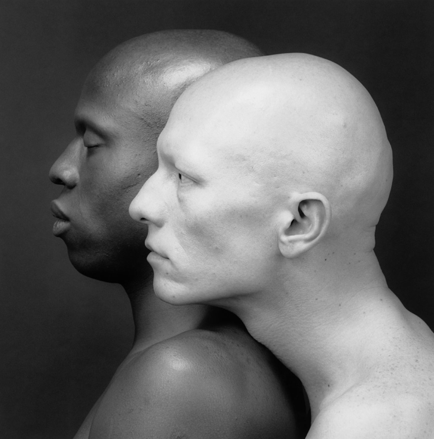Mapplethorpe hat seine Aktfotos schwarzer Männer gerne mit weißen Objekten kontrastiert, im Falle dieser Fotografie "Ken Moody and Robert Sherman" von 1984 auch mit einem hellhäutigen Mann.