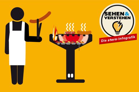 Sehen und Verstehen - die stern-Infografik: Feuer frei! So grillt es sich am besten