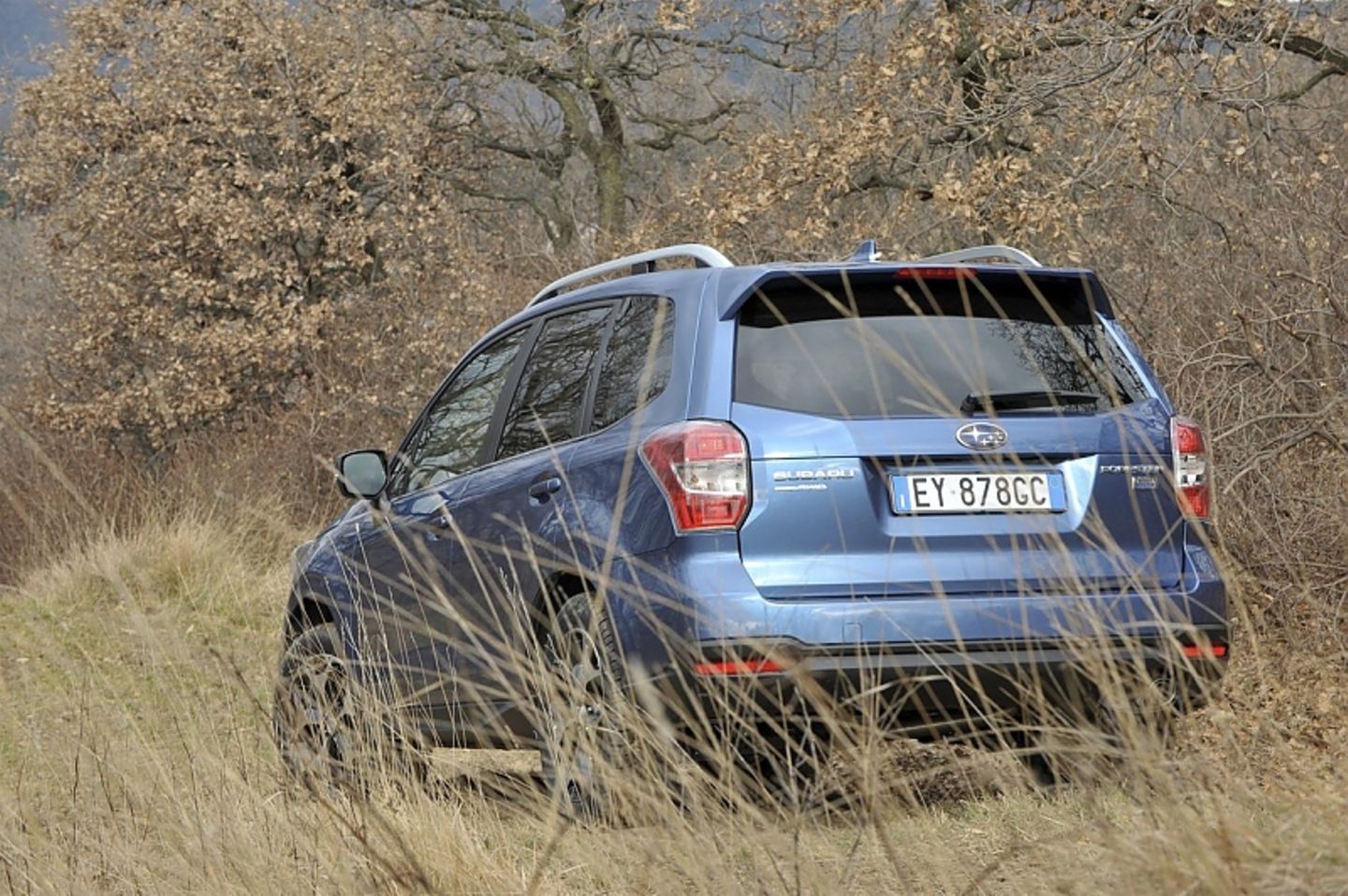 FDer Forester 2.0D Sport Lineartronic ist 1,74 Meter hoch