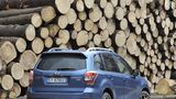 Die Bodenfreiheit beträgt 22 Zentimeter