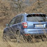 FDer Forester 2.0D Sport Lineartronic ist 1,74 Meter hoch