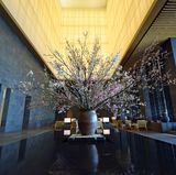 Lobby des Aman Tokio mit blühenden Kirschblütenzweigen