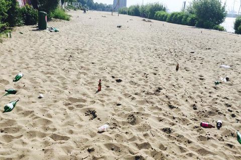 Elbe