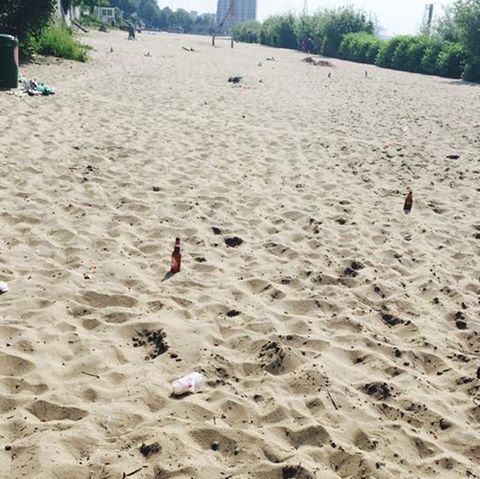 Elbe