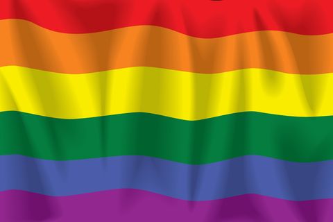 Im Zeichen des Regenbogens: Norman McArthur und Bill Novak waren 15 Jahre lang auf dem Papier "Vater" und "Sohn". Weil sie in Pennsylvania nicht heiraten durften, entschieden sie sich für die Adoption.
