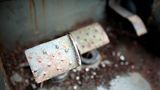 Dunsfold Collection: Rost ist in