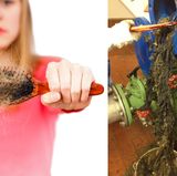 Auch wenn sie Bio sind: Lange Haare gehören in den Müll. Also nicht die Mähne schön Durchbürsten und dann die Haare ins Klo werfen. Haare sind echte Pumpenkiller. Sie verbinden sich, und das ist jetzt kein Wortspiel, zu langen Zöpfen. Die dicke Haarmasse verstopft Pumpen.  Was tun: Lange Haare nach dem Bürsten in den Müll werfen.