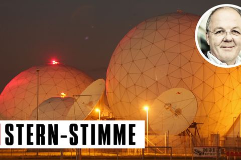 Thomas Ammann: "Bits & Pieces": NSA-Spionage - Ein Abgrund von Landesverrat?