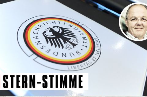 Thomas Ammann: "Bits & Pieces": BND ist nicht mehr als ein "Wurmfortsatz der NSA"