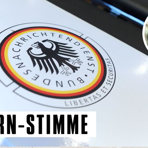 Thomas Ammann: "Bits & Pieces": BND ist nicht mehr als ein "Wurmfortsatz der NSA"