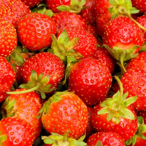 Rund 25.000 Kilogramm Erdbeeren werden aus dem Handel genommen