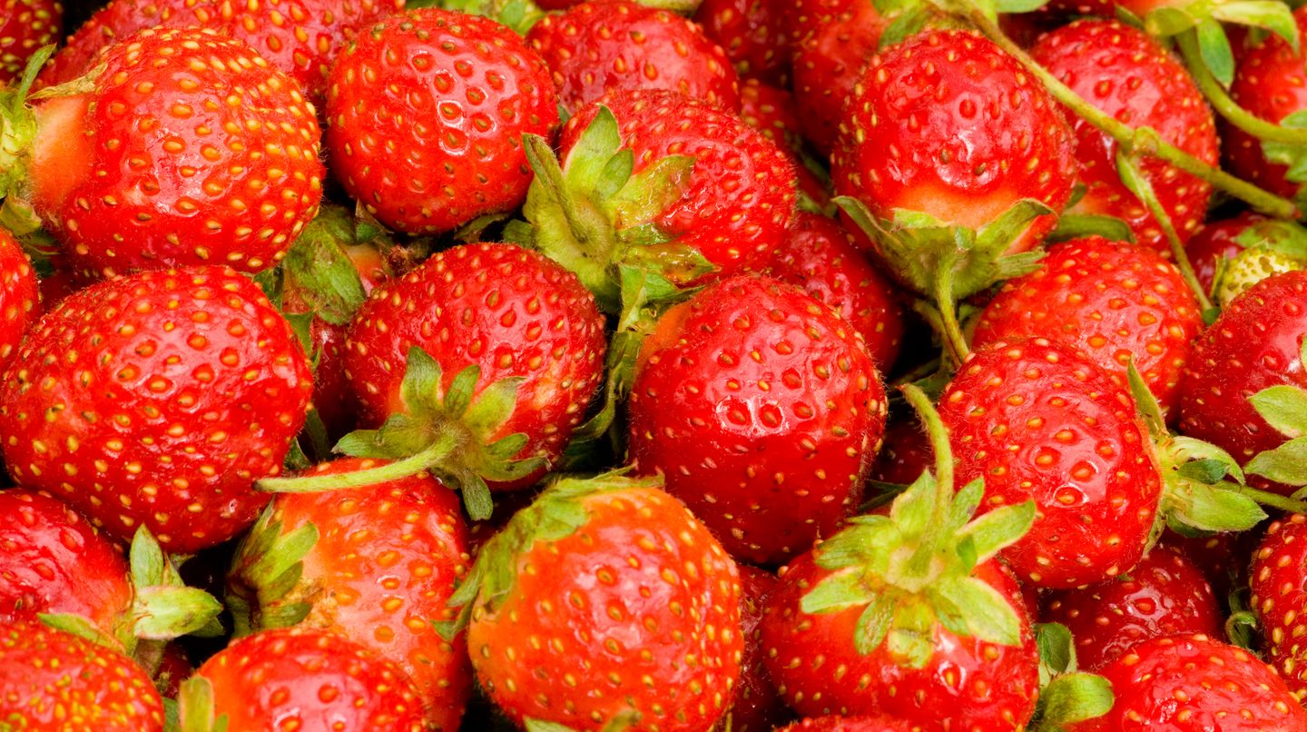 Rund 25.000 Kilogramm Erdbeeren werden aus dem Handel genommen