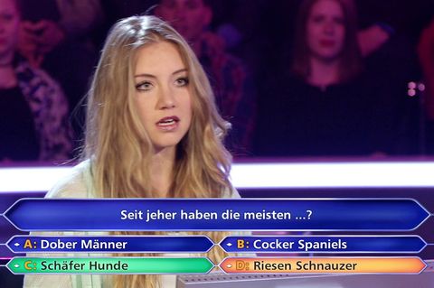 Eine Modedesign-Studentin kam nicht darauf, dass die meisten Schäfer Hunde haben