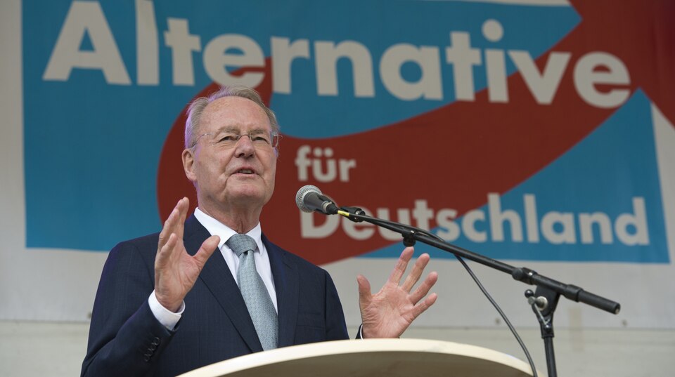 AfD-Vize Hans-Olaf Henkel: Blühender Redner für die Sache der AfD - Vize-Parteichef Henkel Blühender Redner für die Sache der AfD - Vize-Parteichef Henkel