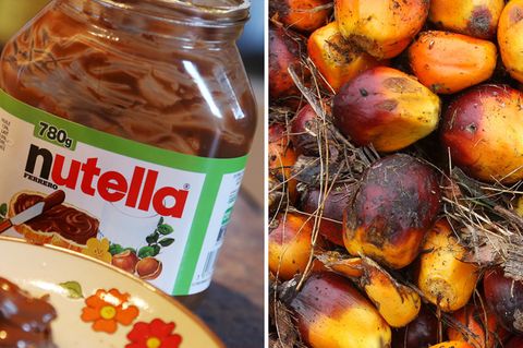 Palmöl-Früchte und Nutella - das umstrittene Pflanzenöl