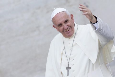 Papst Franziskus stellt seine Öko-Enzyklika "Laudato si" vor