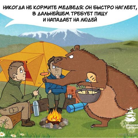 Bärenwarnung aus Russland