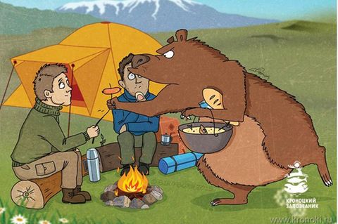 Bärenwarnung aus Russland