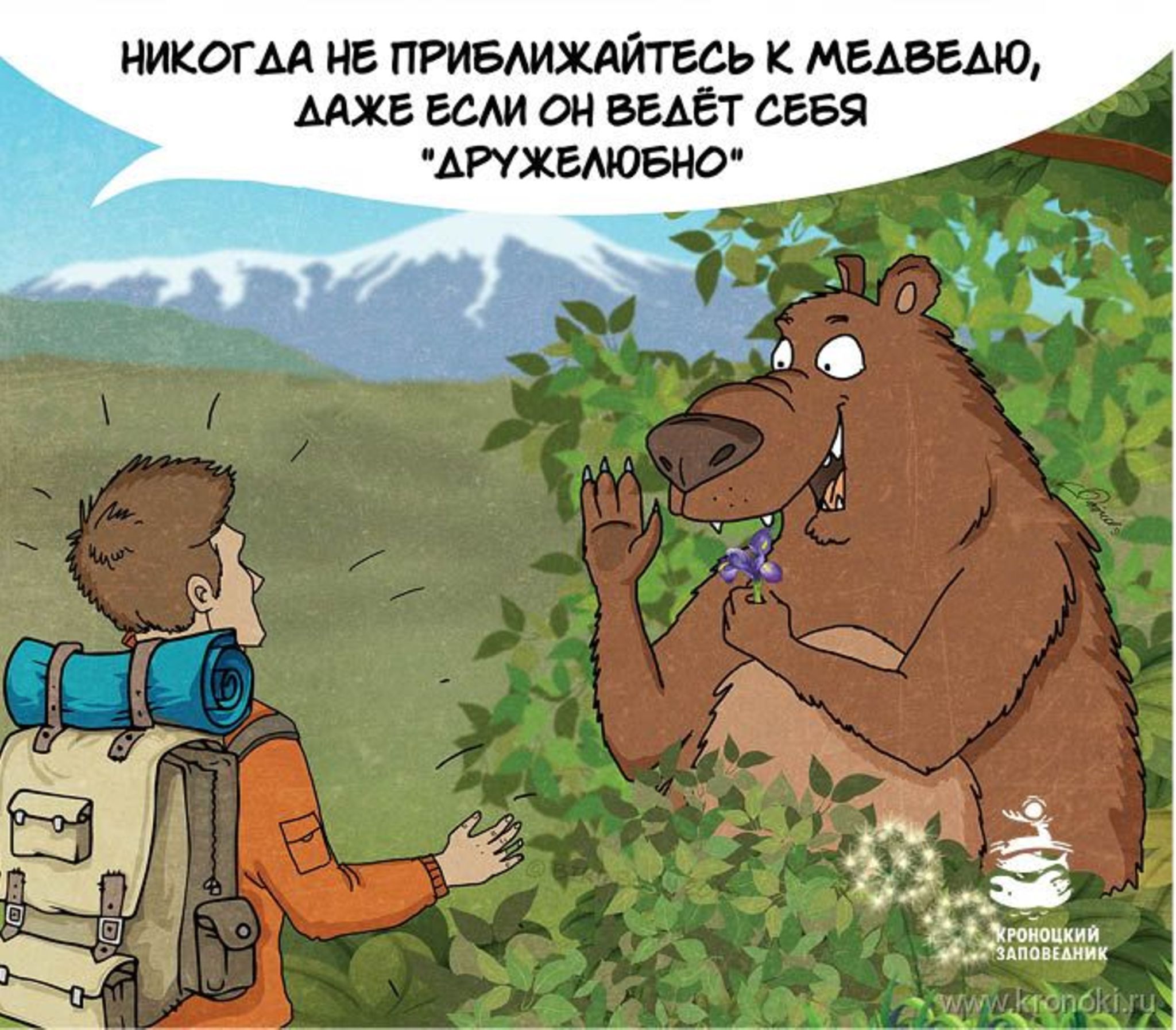 Приколы с медведями картинки