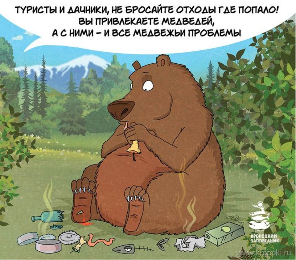 Bärenwarnung aus Russland