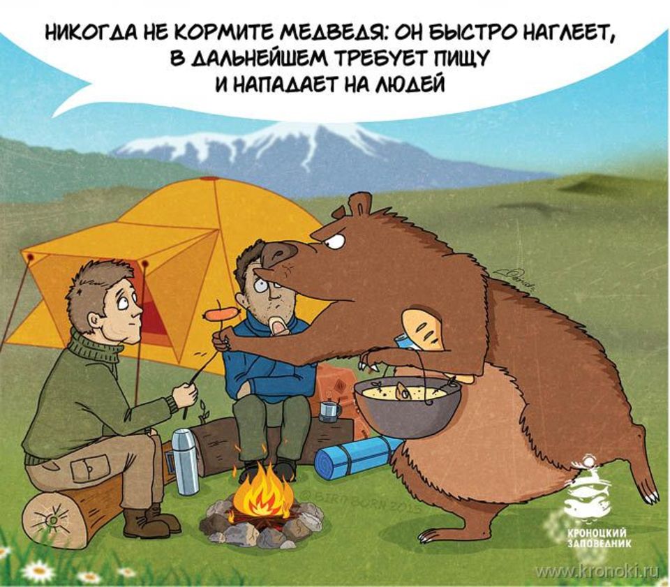 Bärenwarnung aus Russland