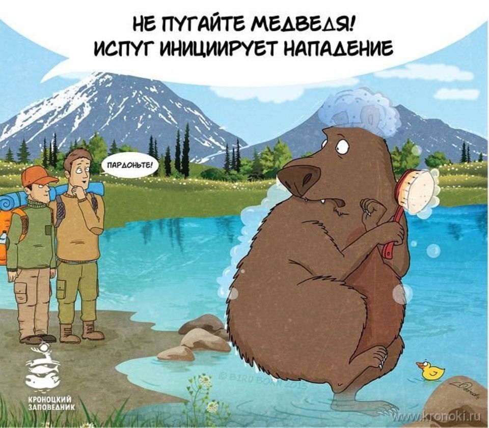 Bärenwarnung aus Russland Bärenwarnung aus Russland