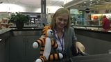 Damit der Tiger sich gut zurechtfindet, erfährt er an der Information, was wo ist