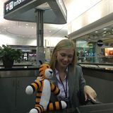 Damit der Tiger sich gut zurechtfindet, erfährt er an der Information, was wo ist