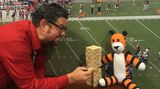 Tony D'Aiuto, der die Idee zu Hobbes' Flughafen-Abenteuer hatte, tritt in der Mittagspause bei einer Runde Jenga gegen den Tiger an