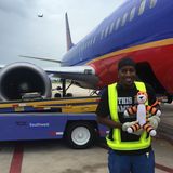 "Wie halten die die Flugzeuge bloß so sauber?", fragt sich Hobbes auf dem Rollfeld