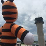 Hobbes am Tower: "Sieht nach Sturm aus!"
