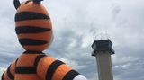 Hobbes am Tower: "Sieht nach Sturm aus!"