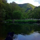 Die Ahrschleife bei Altenahr im Landkreis Ahrweiler. Lokalpatriot Botrange schreibt dazu: „Zwar nicht gerade ein Geheimtipp, aber ein Ort mit beeindruckender Natur neben den Weinbergen.“    Auf der Lokalpatrioten-Karte anschauen