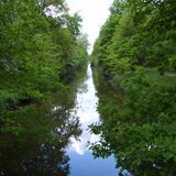 Wolfsburg die Autostadt? Nicht nur – denn gleich um die Ecke liegt das Naturschutzgebiet Barnbruch, über das uns Lokalpatriot Luc schreibt: Ein Ort „zum Tiere beobachten und Pflanzen sehen, die man so nicht mehr überall findet. Auch eine schöne Strecke für das Fahrrad.“    Auf der Lokalpatrioten-Karte anschauen