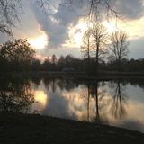 Wären Sie bei diesen Bild auf Ruhrgebiet gekommen? Für Lokalpatriot Süderleben ist der Ewaldsee bei Herten ein Lieblingsort: „Weil hier aus einer Industrieanlage bzw. Zeche ein wunderbarer See mit viel ungestörter Natur entstanden ist.“    Auf der Lokalpatrioten-Karte anschauen