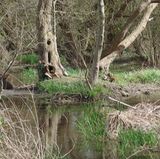 Der letzte Tipp kommt von Lokalpatriotin Pulheimfreundin und zeigt die unberührte Landschaft am Pulheimer Bach: „Dieser Wassererlebnispfad bietet eine einzigartige Begegnung mit der Natur bietet. Erzählstationen geben Informationen über das Leben und die Naturvielfalt am und im Bach. Es gibt Schulprojekte, die dort forschen und die Schülerinnen und Schüler so der Natur näher bringen. So wird ihnen gezeigt, Naturschauspiele sind spannender als manches Computerspiel!“    Auf der Lokalpatrioten-Karte anschauen