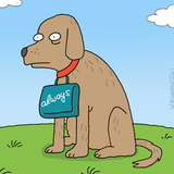 Hunde-Cartoons: Freund und Retter: der Bindenhund