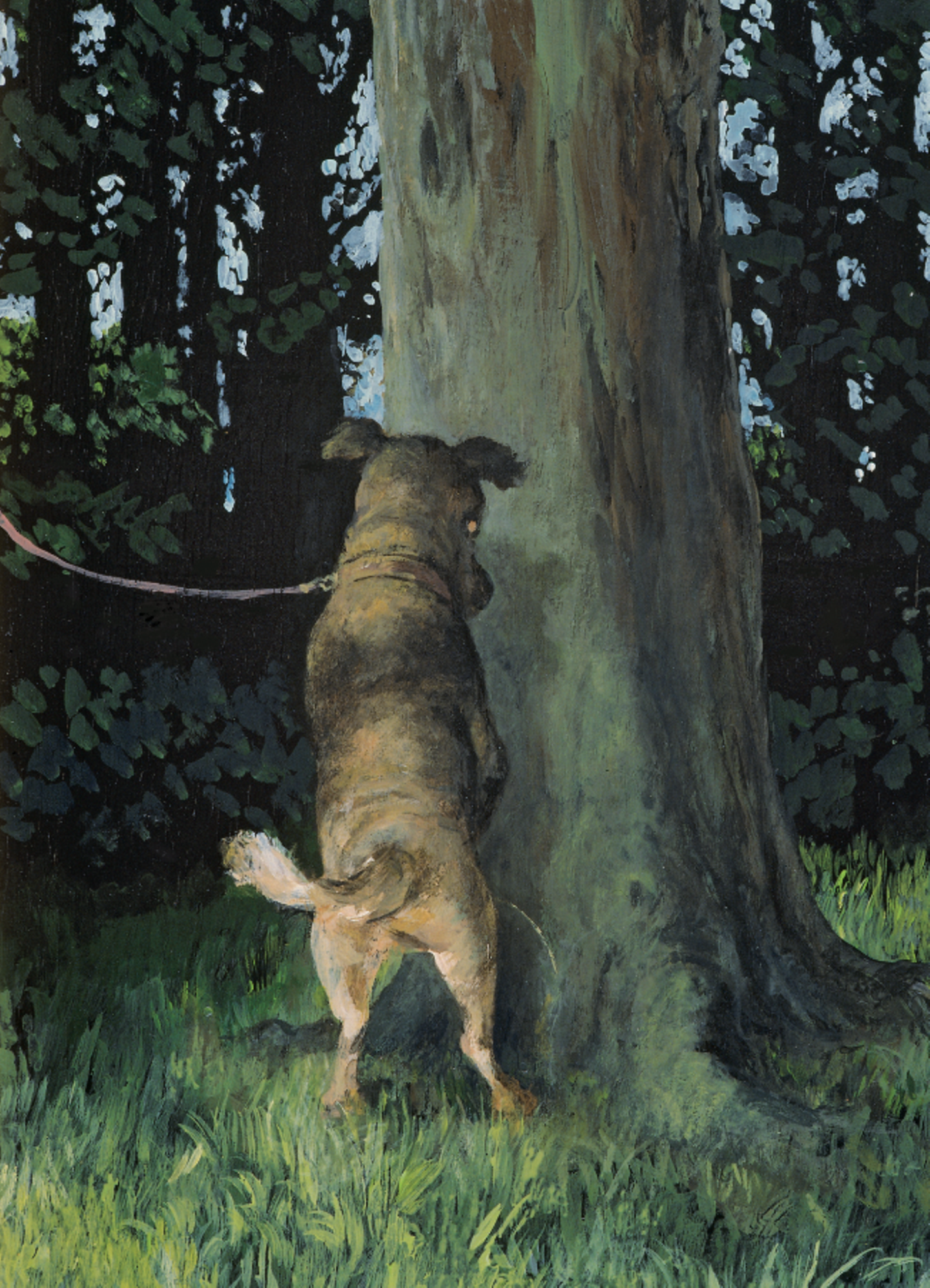 Hunde-Cartoons: Freund und Retter: der Bindenhund