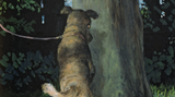 Hunde-Cartoons: Freund und Retter: der Bindenhund