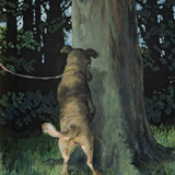 Hunde-Cartoons: Freund und Retter: der Bindenhund