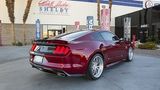 Von hinten schaut der Ford Mustang Shelby American Super Snake ziemlich zivil aus