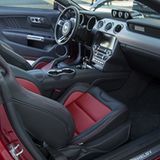 Vorne gibt es Sportsitze